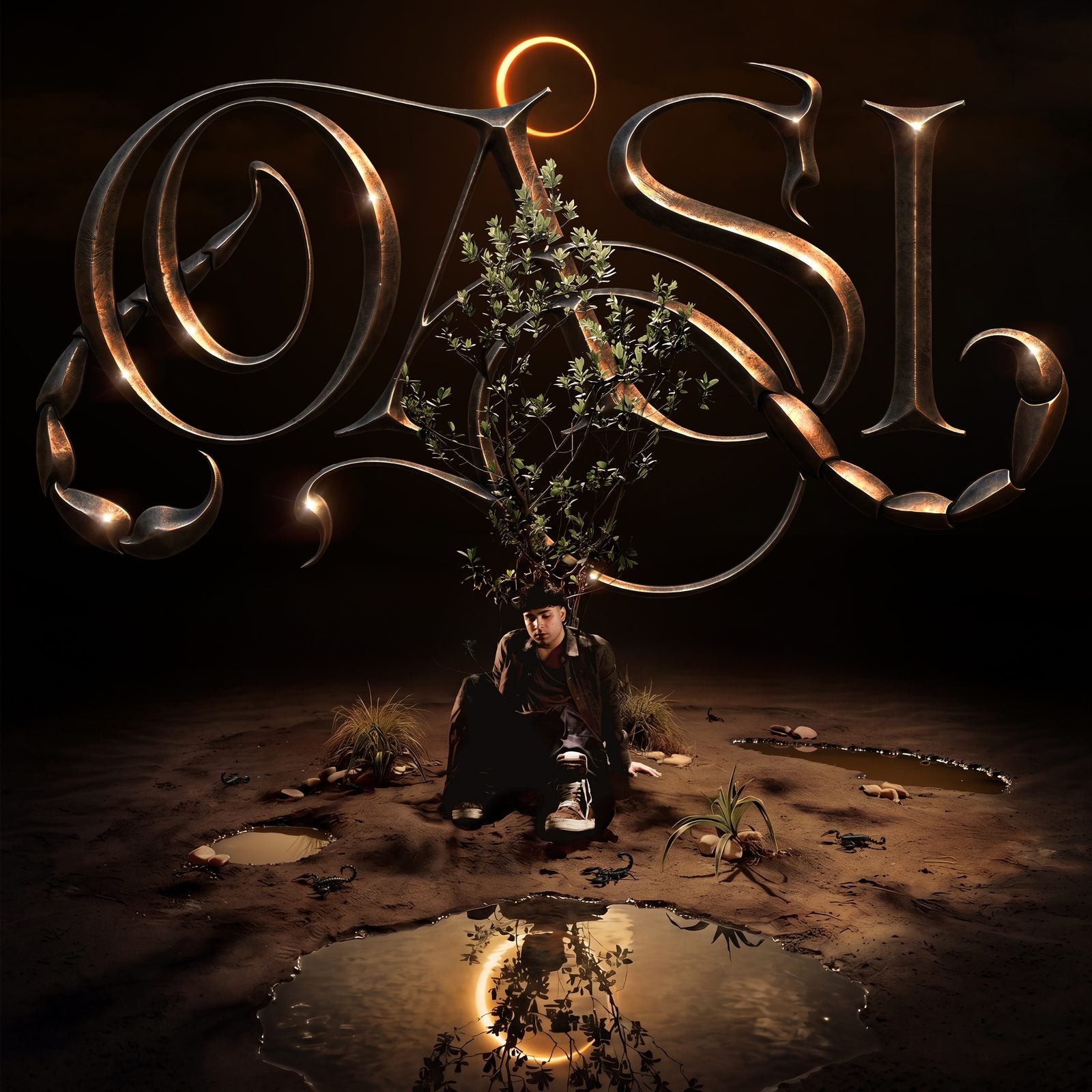 OASI — artwork